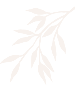 Angelina Tricho Cosmo Dermo & Holistic Clinic